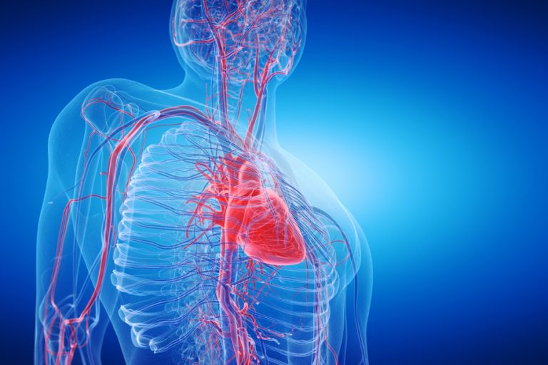 Vascular Disease: What To Know About